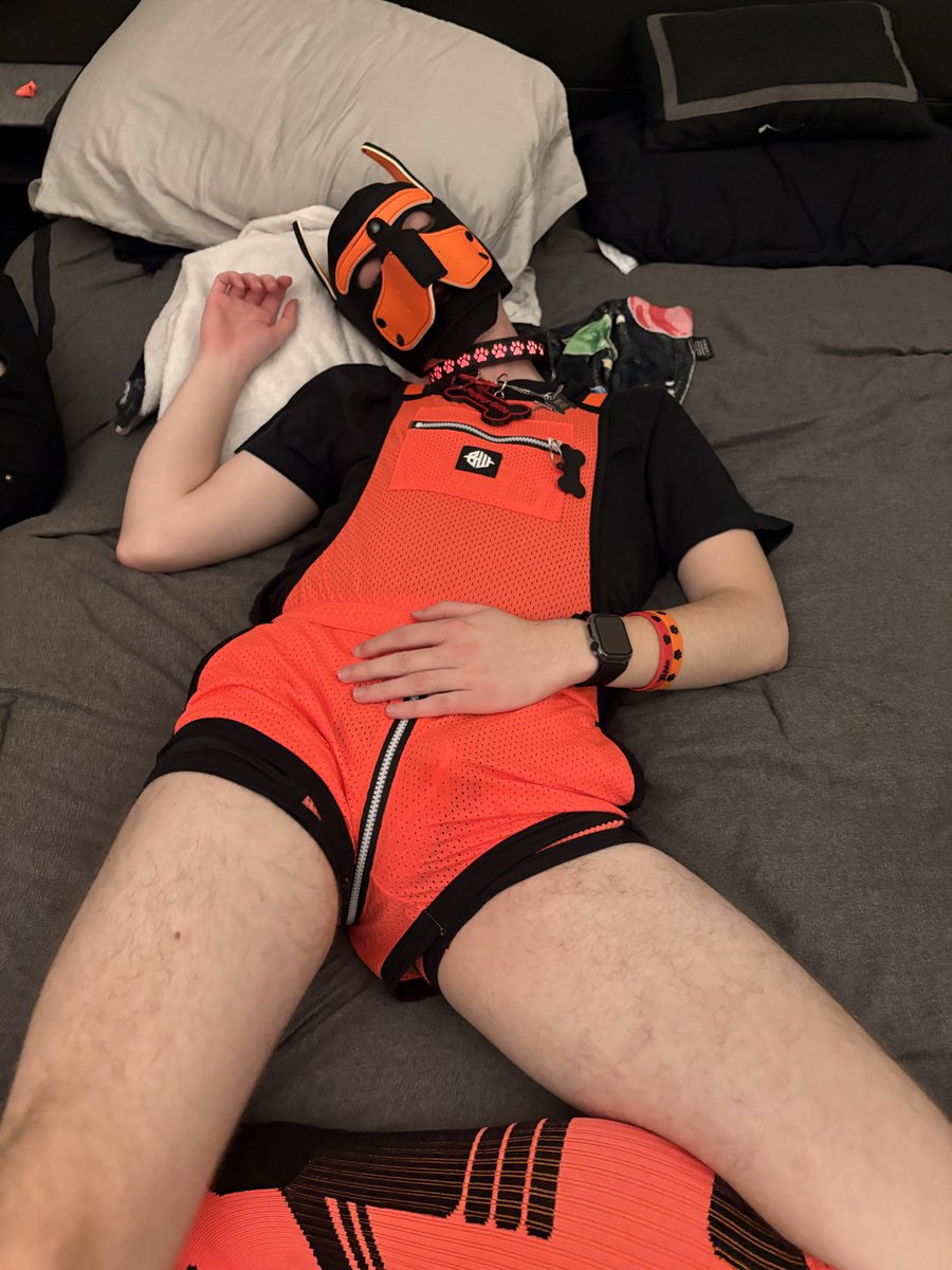PupOtto106's tweet photo. Happy Borkday to Me! *Ruff Ruff* 🐶 New Age, New Color, New Gear, and New Event!! I went to Unleashed in DC w/ @PupXepher https://t.co/ks06gQUfw5