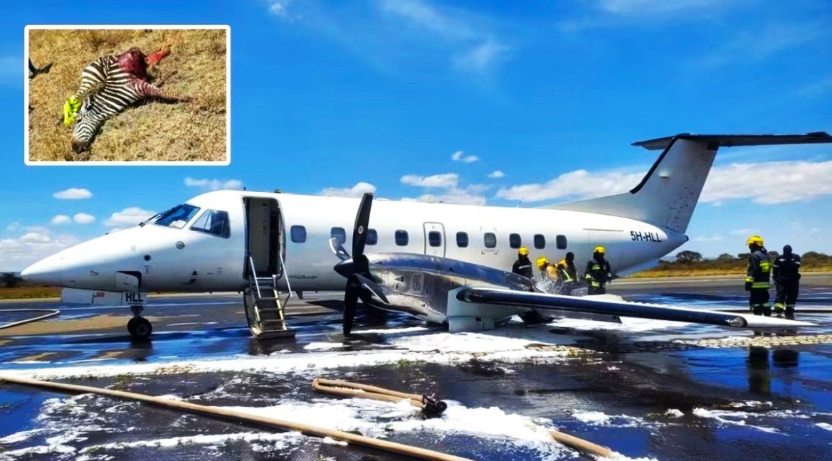 Dustbintheory's tweet photo. 🚨 NEW: Safari plane carrying 30 people Crash-landed after reportedly Hitting a Zebra . https://t.co/CynitP6NtI