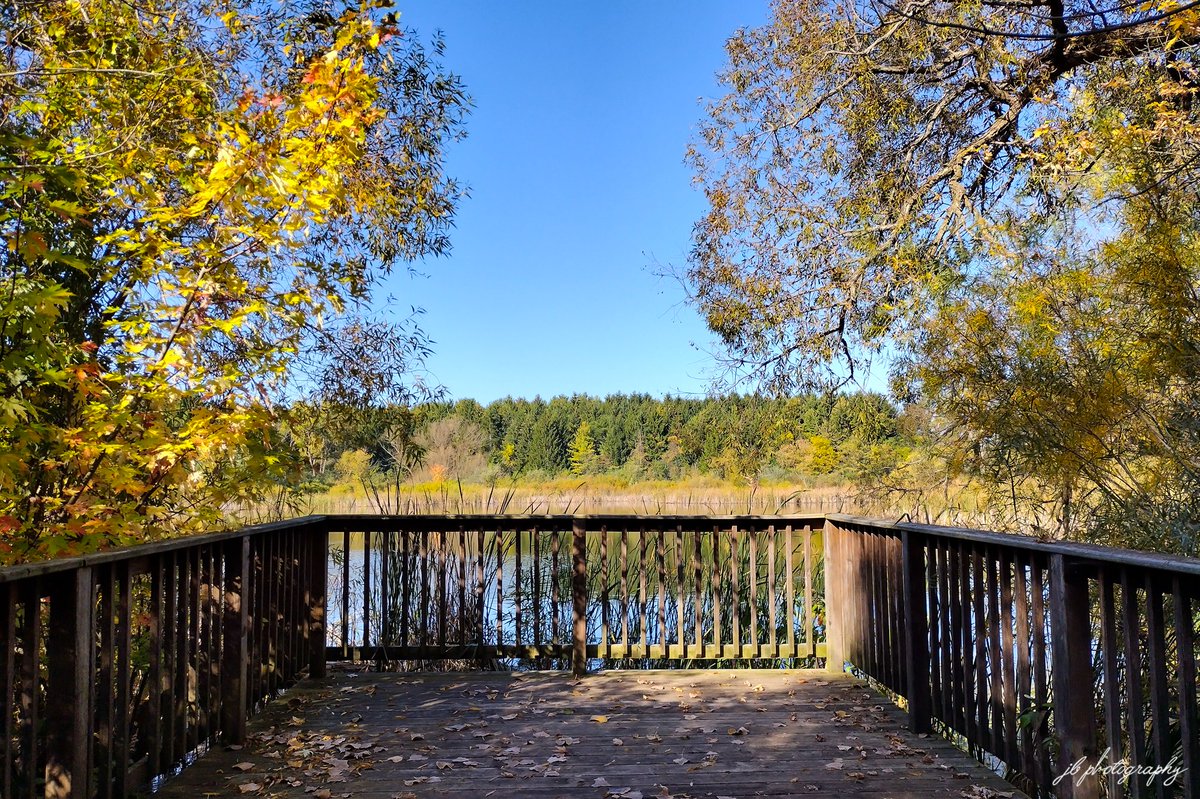 PlantNativeWI's tweet photo. This morning's warm autumn hike. https://t.co/JIqIabOWeZ