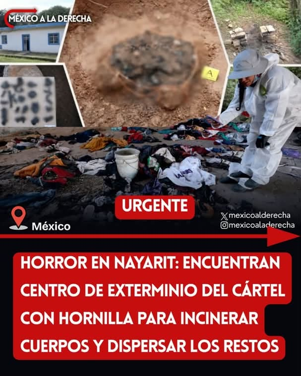 GARCIPAVON's tweet photo. #NosFaltaMásDe135Mil
* Rancho Izaguirre descubierto el 5 de marzo del 2025
* 1,600 dientitos de leche, descubiertos en un predio de Zacapú, Michoacán, el pasado 25 de septiembre del 2026. 
* Hoy, 6 de octubre, otra fosa clandestina en un centro de ext3rminio, en Nayarit.

¡DESPIERTA MÉXICO, CARAJO! 🤬