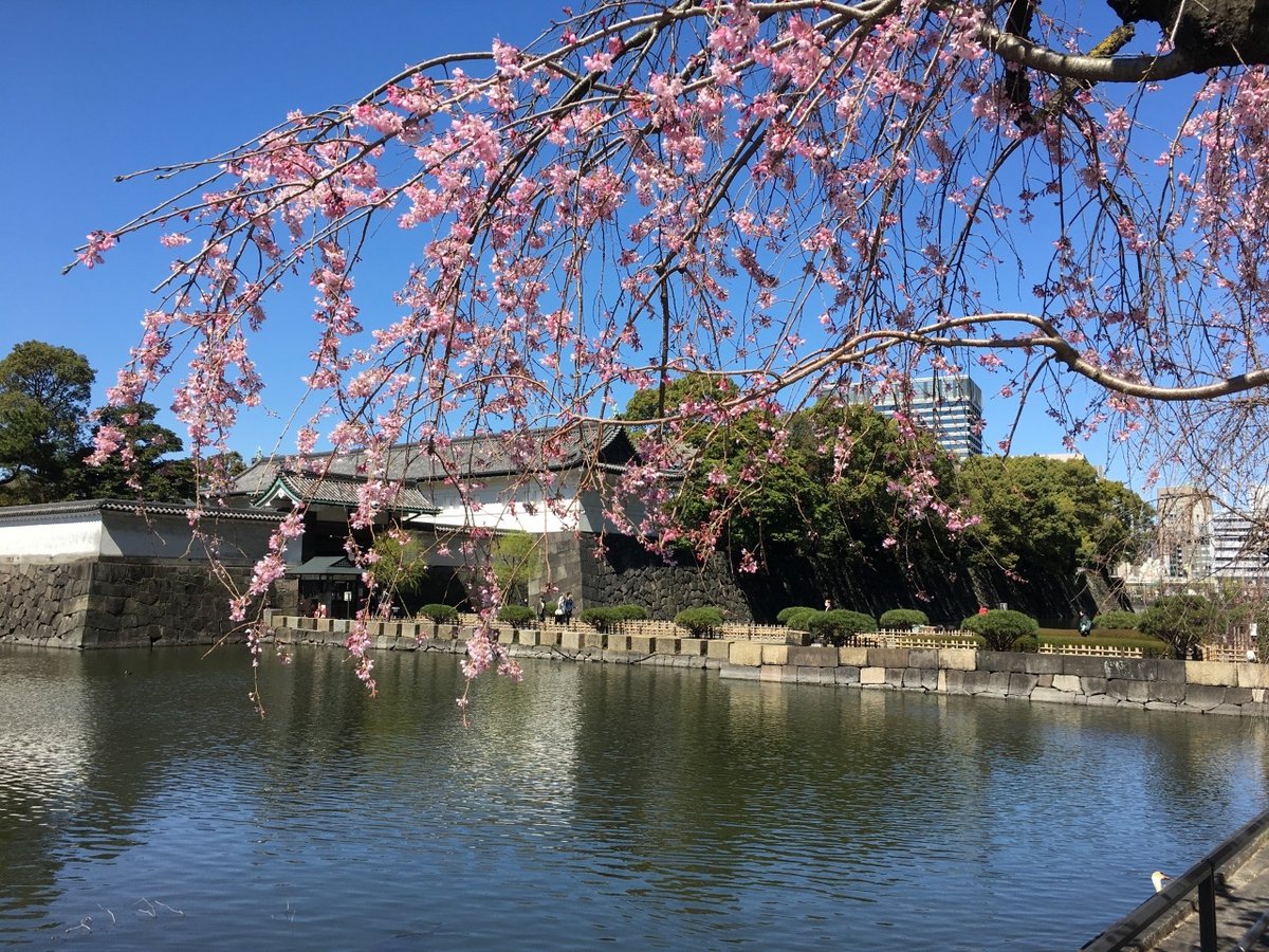 TravelSort's tweet photo. ►Top Japan Luxury Hotel Offers 2026-2027: https://t.co/2yVsRLjjhh #JapanTravel #LuxuryTravel #TravelTips https://t.co/Euxp0EoBuU