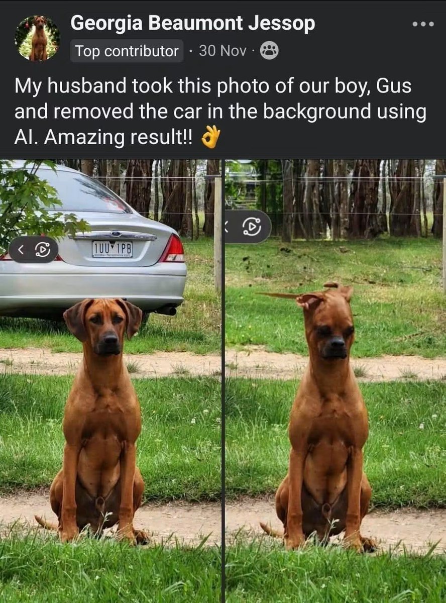 WholesomeMeme's tweet photo. https://t.co/UPGDBaZWHg
