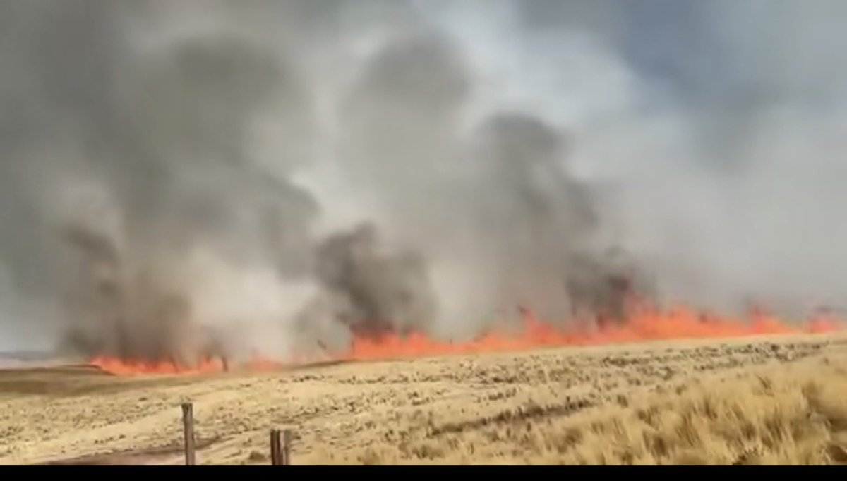 RuthLuqueIbarra's tweet photo. #IncendiosForestales #Cusco hoy tenemos incendios forestales en distintos puntos de nuestra región. Espinar enfrenta una situación especialmente grave en Pichigua y Alto Pichigua; también existen emergencias en Chumbivilcas, Urubamba, Paruro y otros sectores. En lo que va del año, Cusco registra más de 280 incendios forestales, más de 16 mil hectáreas afectadas y cinco personas fallecidas.

Detrás de esas cifras hay vidas, familias, animales, pastizales, cultivos, bosques, especies nativas y ecosistemas que tardarán años en recuperarse. Este problema no es nuevo. En el periodo pasado insistimos mucho en la urgencia de prevención y respuesta integral, ¿Qué hemos planteado?: brigadas comunales capacitadas y equipadas; compañías de bomberos en las provincias que aún no cuentan con ellas; sistemas de alerta y monitoreo temprano; disponibilidad efectiva de apoyo aéreo cuando la magnitud y condiciones técnicas lo requieran; alternativas al uso del fuego en las actividades agropecuarias; y presupuesto para restaurar los ecosistemas, pastizales y bosques afectados. Los planes ya existen. Lo que necesitamos es que funcionen en el territorio antes de que empiece el fuego o se haga incontrolable. No podemos seguir perdiendo vidas y patrimonio natural, hoy en un contexto de crisis climática @pcmperu @gorecuscope