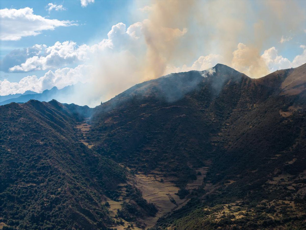 RuthLuqueIbarra's tweet photo. #IncendiosForestales #Cusco hoy tenemos incendios forestales en distintos puntos de nuestra región. Espinar enfrenta una situación especialmente grave en Pichigua y Alto Pichigua; también existen emergencias en Chumbivilcas, Urubamba, Paruro y otros sectores. En lo que va del año, Cusco registra más de 280 incendios forestales, más de 16 mil hectáreas afectadas y cinco personas fallecidas.

Detrás de esas cifras hay vidas, familias, animales, pastizales, cultivos, bosques, especies nativas y ecosistemas que tardarán años en recuperarse. Este problema no es nuevo. En el periodo pasado insistimos mucho en la urgencia de prevención y respuesta integral, ¿Qué hemos planteado?: brigadas comunales capacitadas y equipadas; compañías de bomberos en las provincias que aún no cuentan con ellas; sistemas de alerta y monitoreo temprano; disponibilidad efectiva de apoyo aéreo cuando la magnitud y condiciones técnicas lo requieran; alternativas al uso del fuego en las actividades agropecuarias; y presupuesto para restaurar los ecosistemas, pastizales y bosques afectados. Los planes ya existen. Lo que necesitamos es que funcionen en el territorio antes de que empiece el fuego o se haga incontrolable. No podemos seguir perdiendo vidas y patrimonio natural, hoy en un contexto de crisis climática @pcmperu @gorecuscope