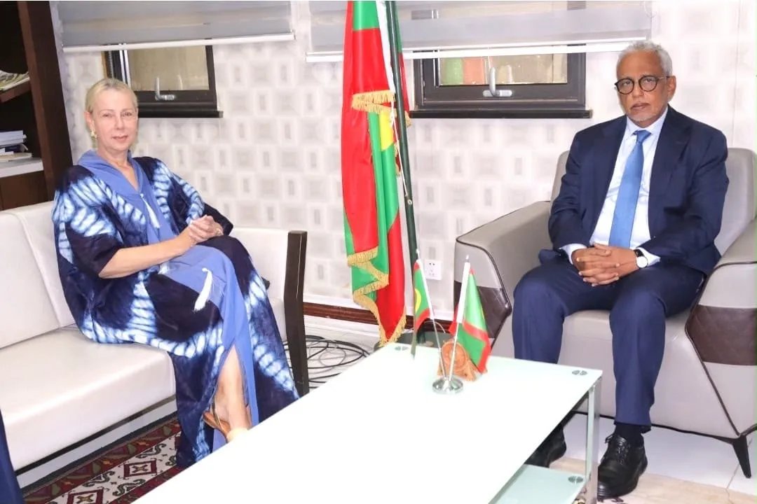 Mauritanie0tous's tweet photo. موريتانيا تواصل تعزيز شراكاتها التنموية، من خلال بحث ملفات التعاون مع البنكين الإفريقي والدولي، بما يدعم الاستثمار ويدفع عجلة التنمية. 🇲🇷🌍 https://t.co/wcFrh9mNJ0