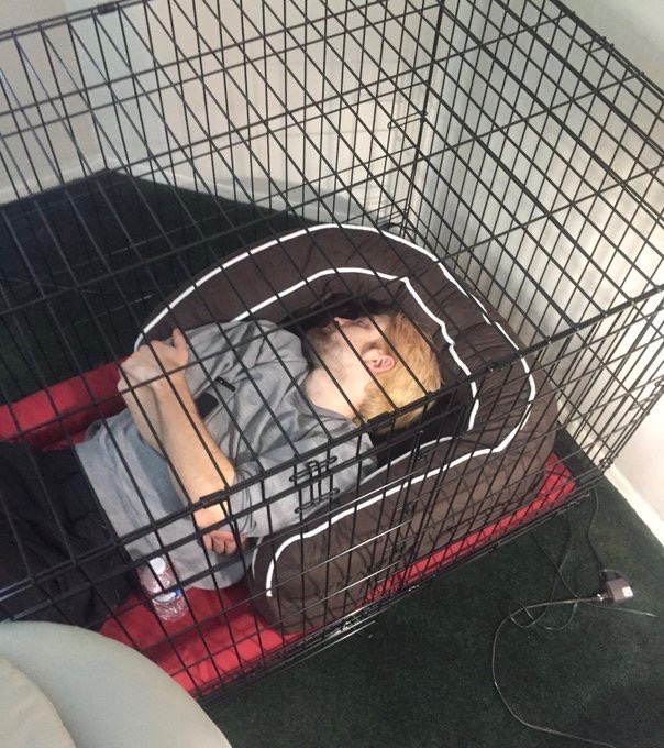 winxiechan's tweet photo. why did they put him in a cage? https://t.co/gJFXFehiGG