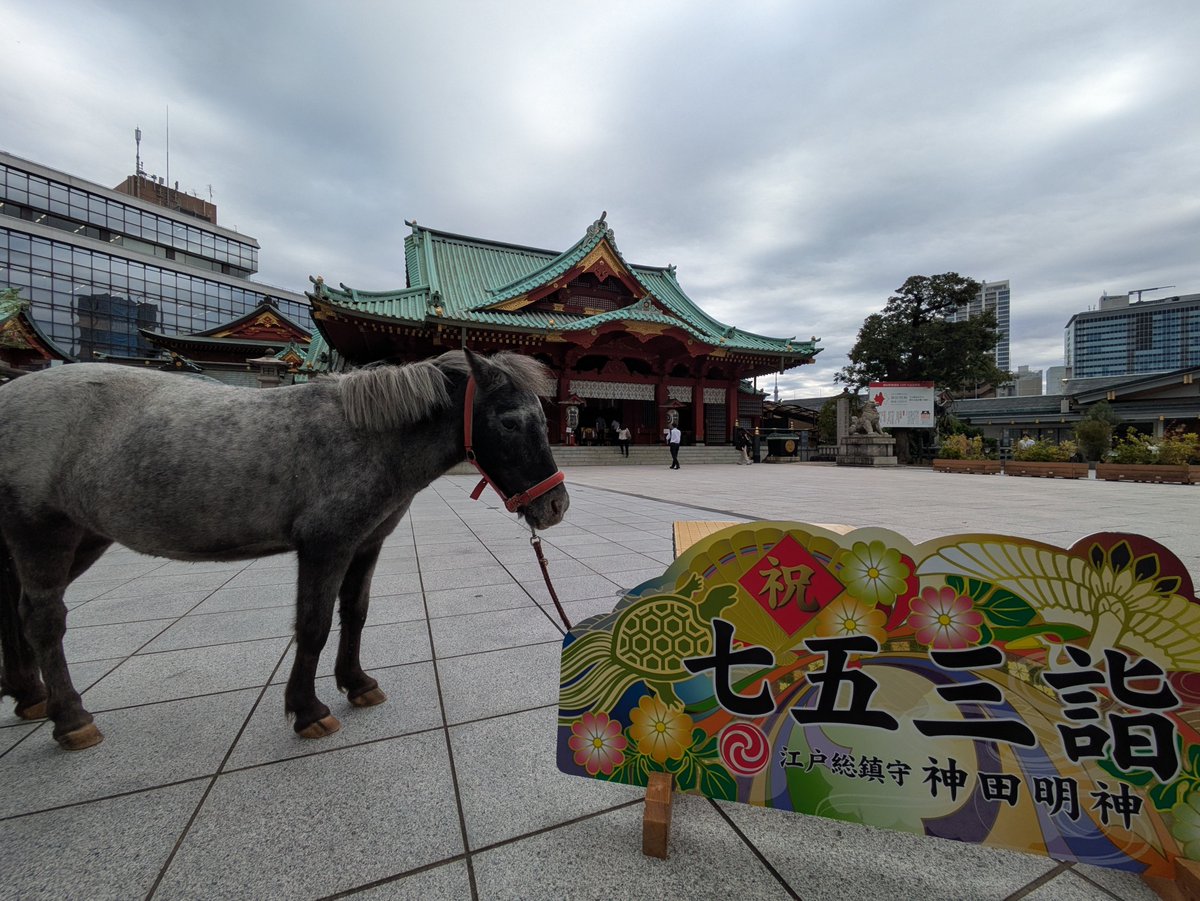 kanda_myoujin's tweet photo. おはようございます https://t.co/pf9exrDnm9