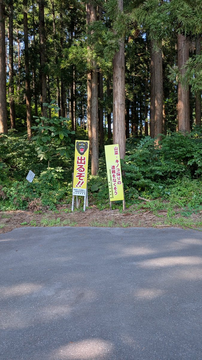 shakeorchestra's tweet photo. 東北復路編終了
ありがとうございました https://t.co/M1tMtDGRw0