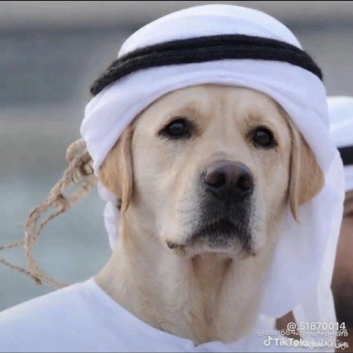 frozen1405's tweet photo. @Mahawi_2016 اونه https://t.co/agWF9Dx8gp