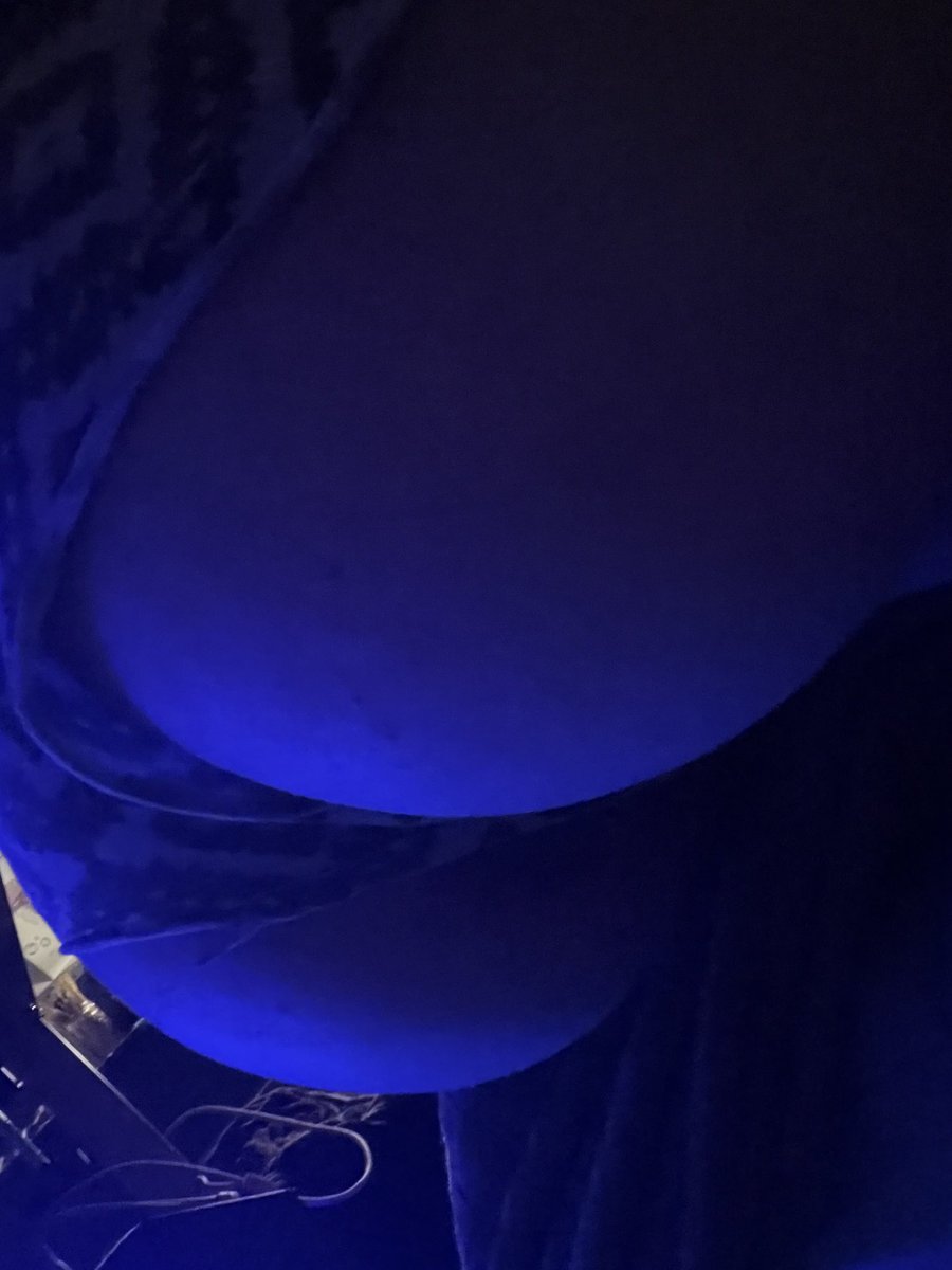 1c1ng's tweet photo. Who’s gonna be a good boy and let me sit on their lap while mommy plays her games~? https://t.co/D9f2dfQDrZ