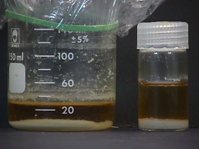 jamessmiths07's tweet photo. Psilocybin extracted with ethanol, known as "Crystals of the Gods".

Extraction eliminates nausea, is easier to consistently dose, and is often reported as a cleaner, 'clearer' trip.
#Psilocybin 
#Drugtwt
#Psychedelics https://t.co/8u6I7Dnw4x