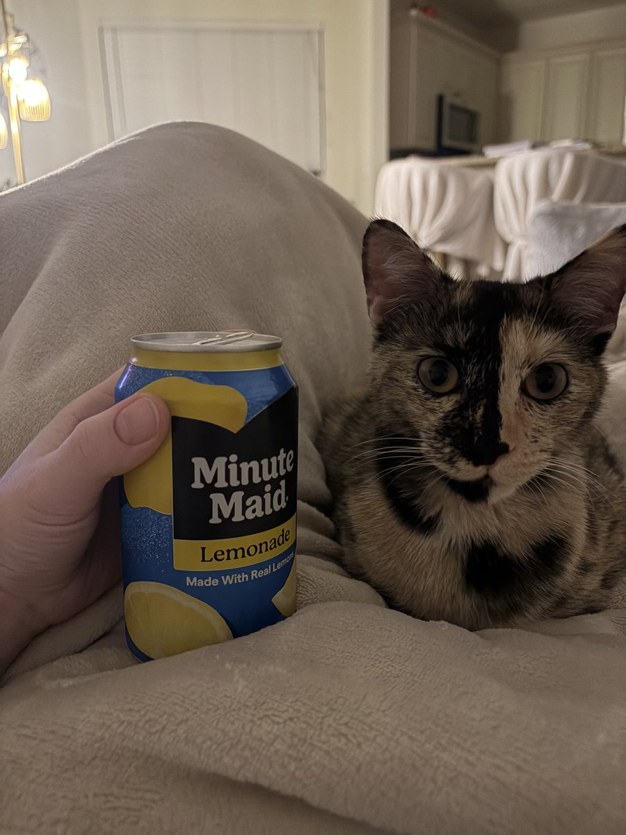 elextra__'s tweet photo. this loaf is approximately 1.25 lemonades tall https://t.co/HB5NPZdTzf