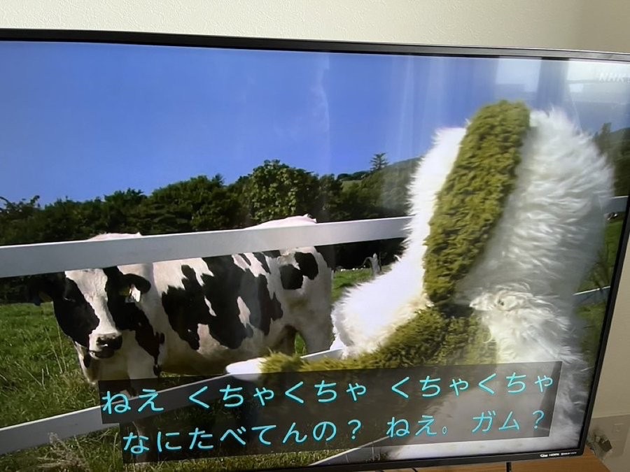 madaomoshiroi's tweet photo. 煽り性能高すぎるのまだ面白い https://t.co/7hz6EyTISI