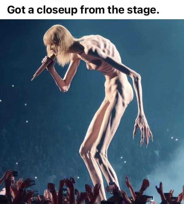 alphafox's tweet photo. Imagine paying to go to a Taylor Swift concert and seeing this: https://t.co/GOPbAOEYIz