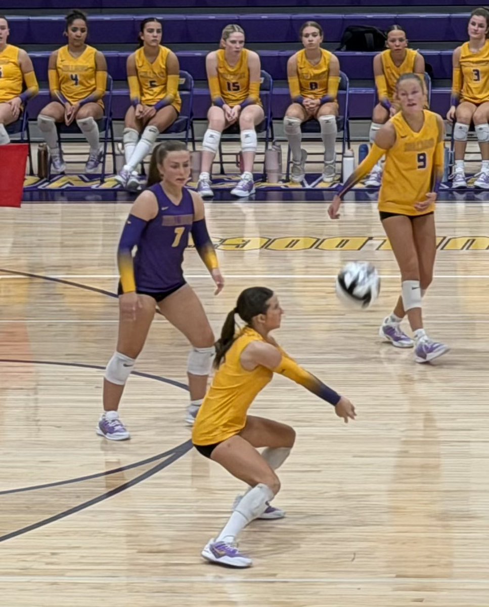 BCBulldogsVB's tweet photo. With a win tonight over Fairfield Union (25-8 25-8 25-15) varsity win our 5th straight MSL Buckeye outright championship💜🏐💛 https://t.co/EiJJboQGKh