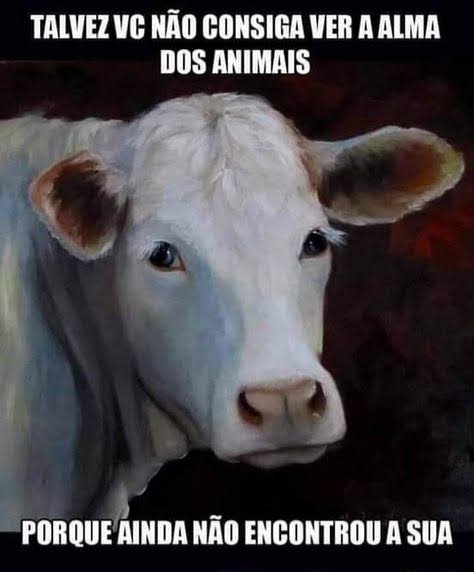 LiLoveAnimals's tweet photo. @Minerva_BEEF3 Minerva S/A (Minerva Foods)👹

#CompanhiaDocasdoPará (#CDP)👹 

Tamara Shipping Co Ltda👹

Norte Trading Operadora Portuária Ltda👹

Global Agência Marítima Ltda👹

A-S-S-A-S-S-I-N-O-S!!!!!!! https://t.co/FarqAomwmH
