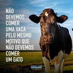 LiLoveAnimals's tweet photo. @Minerva_BEEF3 Hoje, 11 anos da tragédia com os Bois em Barcarena-Pará 🐮👼

Tudo por causa da GANÂNCIA DESENFREADA de vocês 🤬 Que tudo o que vocês causaram aos Bois volte INFINITAS VEZES a vocês.

Mais de 5000 VIDAS INOCENTES!!!!!!! https://t.co/fHYbIfkNN1