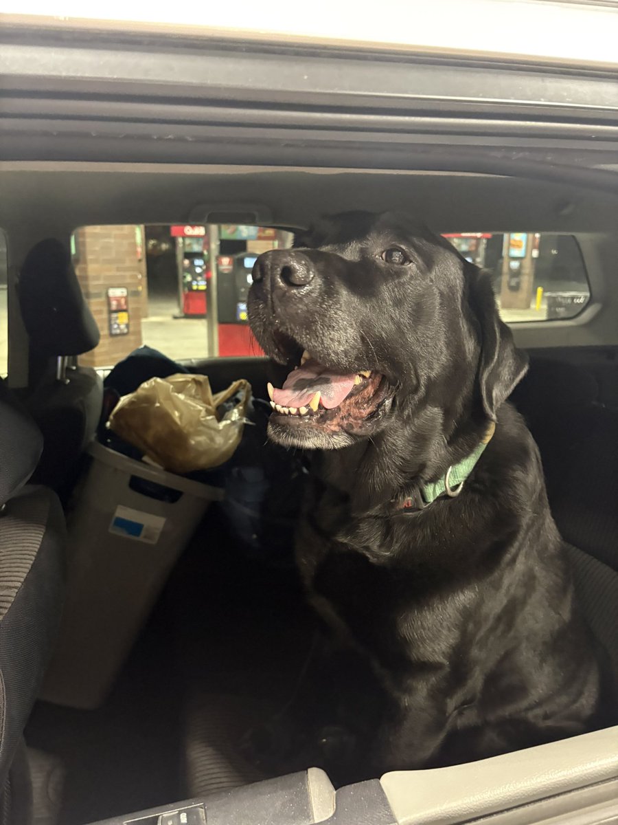 Jerrybagcia's tweet photo. Hounds coming to school #hounddox https://t.co/nKt1Q3pCQI