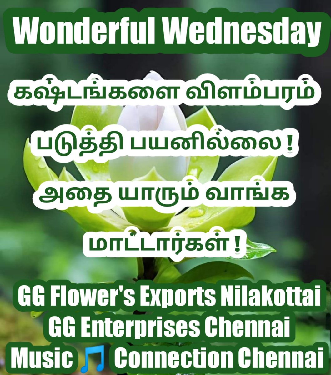 musicrajamdu's tweet photo. Have A Blessed Day 🙏 https://t.co/vEvUGCeVeY