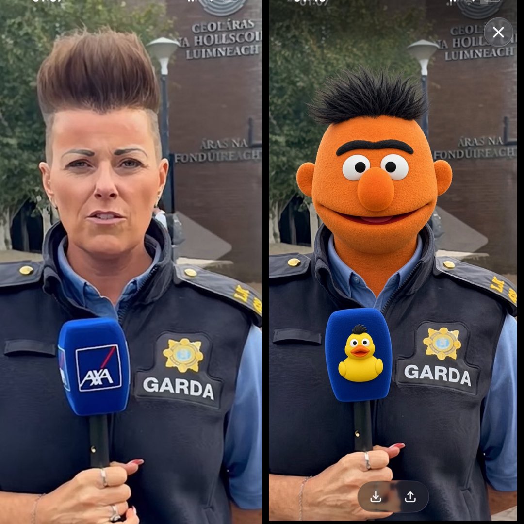 duzBme's tweet photo. You’d take Sesame Street more seriously than Ireland’s police. That’s An Garda Síochána, laughing at the Irish people in plain sight. #Ernie #RubberDucky  #Limerick https://t.co/VPXmtfgASr