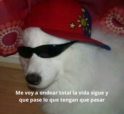 conoloracigarro's tweet photo. https://t.co/PiFM0XoO1W
