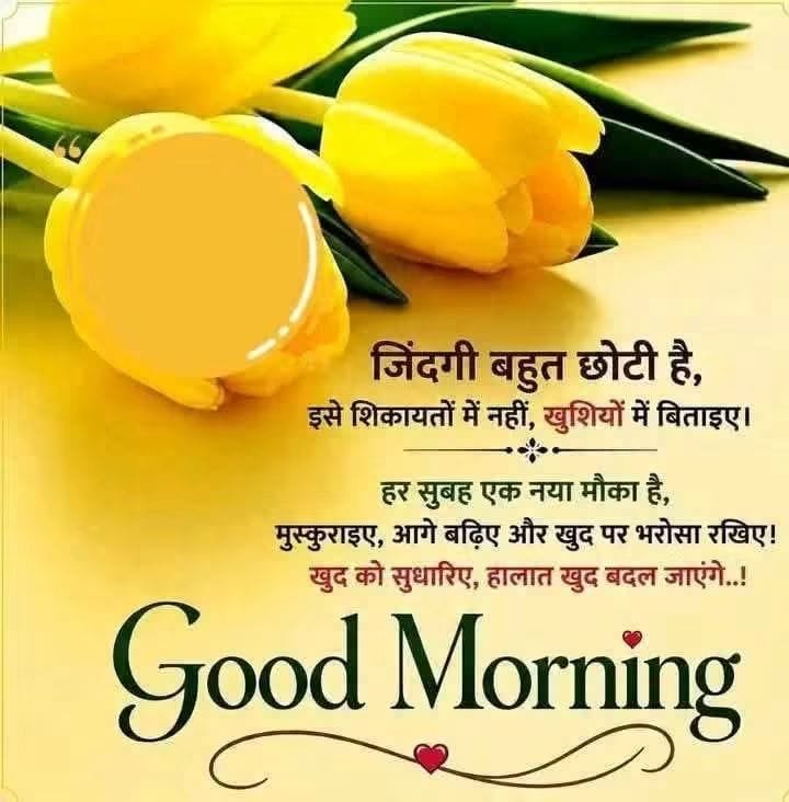 KumarTuntu22719's tweet photo. Good morning all of you and Have a nice day 🌹 https://t.co/1oci8Bv2CA