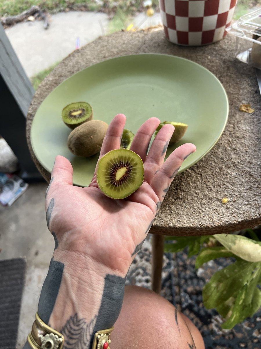 cedarminks's tweet photo. It’s all green 🌱  🥑 https://t.co/PDsbgfC2C7