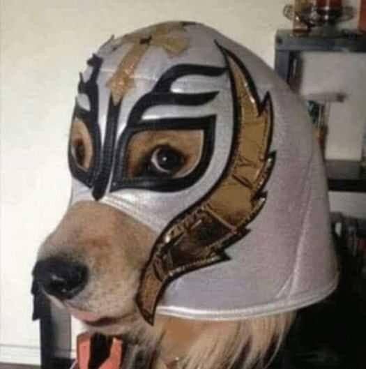 taehliv's tweet photo. alch si sí se arma el fan project de las máscaras de una vez les advierto q yo me voy a sentir el mismísimo rey misterio https://t.co/W62Wz8LD6q