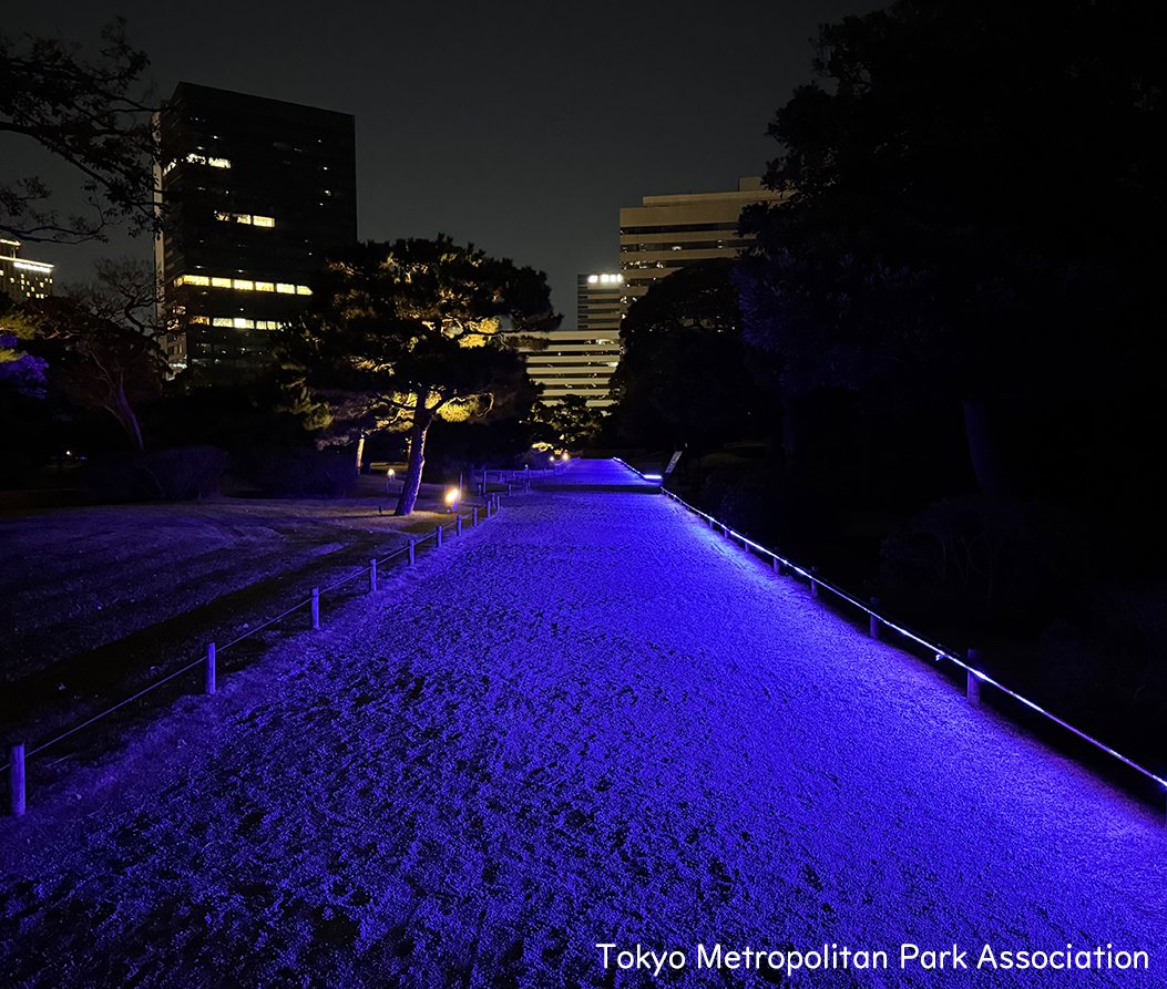 Tokyo_gov's tweet photo. Hama-rikyu Gardens, once a villa of the Tokugawa shogunate, is set for a traditional autumn moon-viewing event, tsukimi.
Why not experience Japan’s tradition of enjoying the long autumn nights while admiring the moon reflected on the Tide Inlet Pond and the illuminated landscape? https://t.co/D5Hny0TZdG