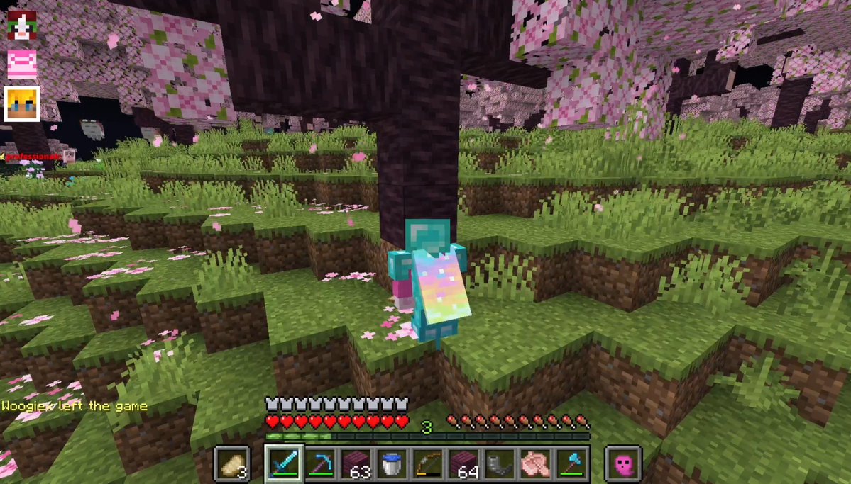 stalker_yara's tweet photo. // soulsmp spoiler 

pov you're a speedrunner on smp https://t.co/r28m9LJBfu