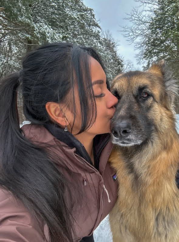 Emily86432's tweet photo. Intense session last night.
The uncut version is in private.
Link in bio
#dogs #K9 #Germany https://t.co/4Y2dMHbfmB