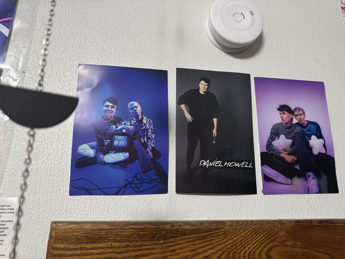 B1rdyStars's tweet photo. They sit so nicely https://t.co/tAsxXFmC6V