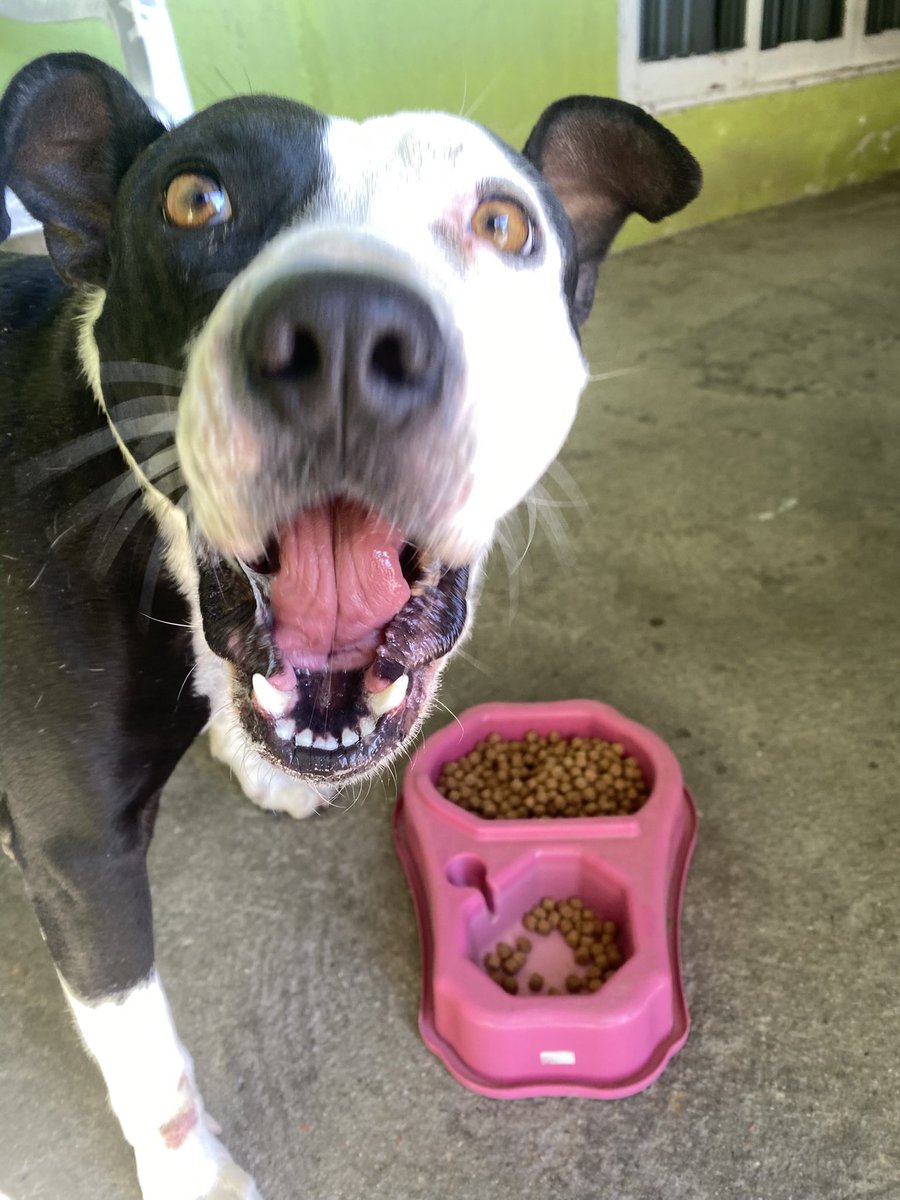 vitorta's tweet photo. hoje sendo aniversário DESSA FOFA 🥺💕 https://t.co/MU9LiDQ5Fp