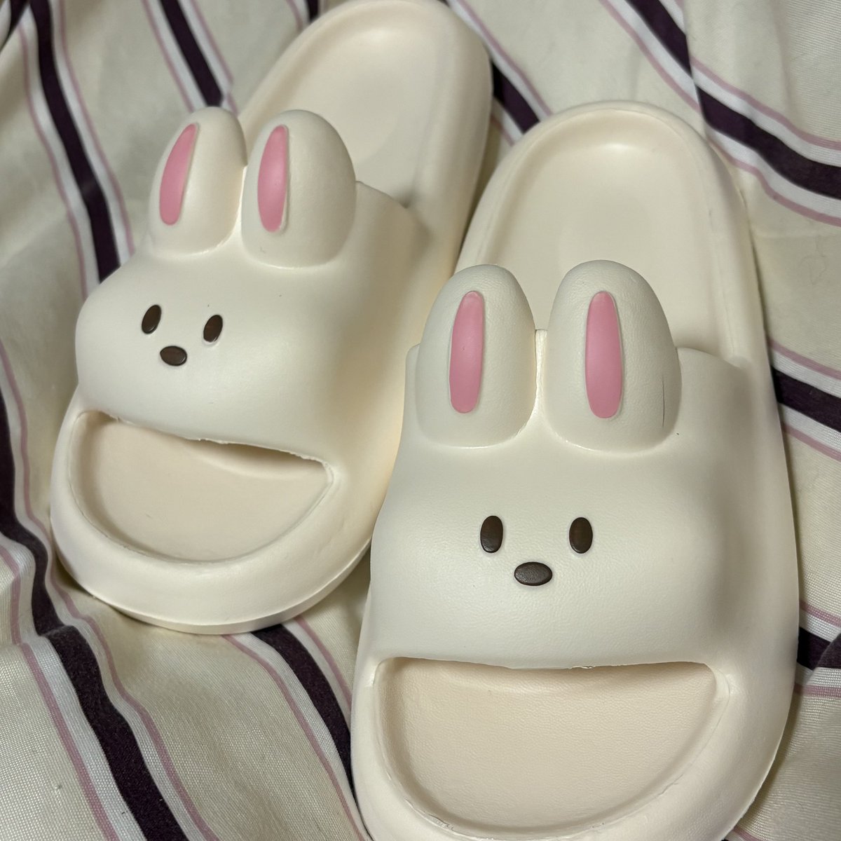 dandy2adachi's tweet photo. おはよーございますっっっ！！
今日は光町ルームに出勤です🏠

恐らくラスト枠は埋まりそうです💦

そして、光町用にMyスリッパ買ったのだけど……こいつのおかげでカバンいっぱいに😭
今日はうさスリッパに会いに来てくださいね(笑) https://t.co/RYTAU7XJOW