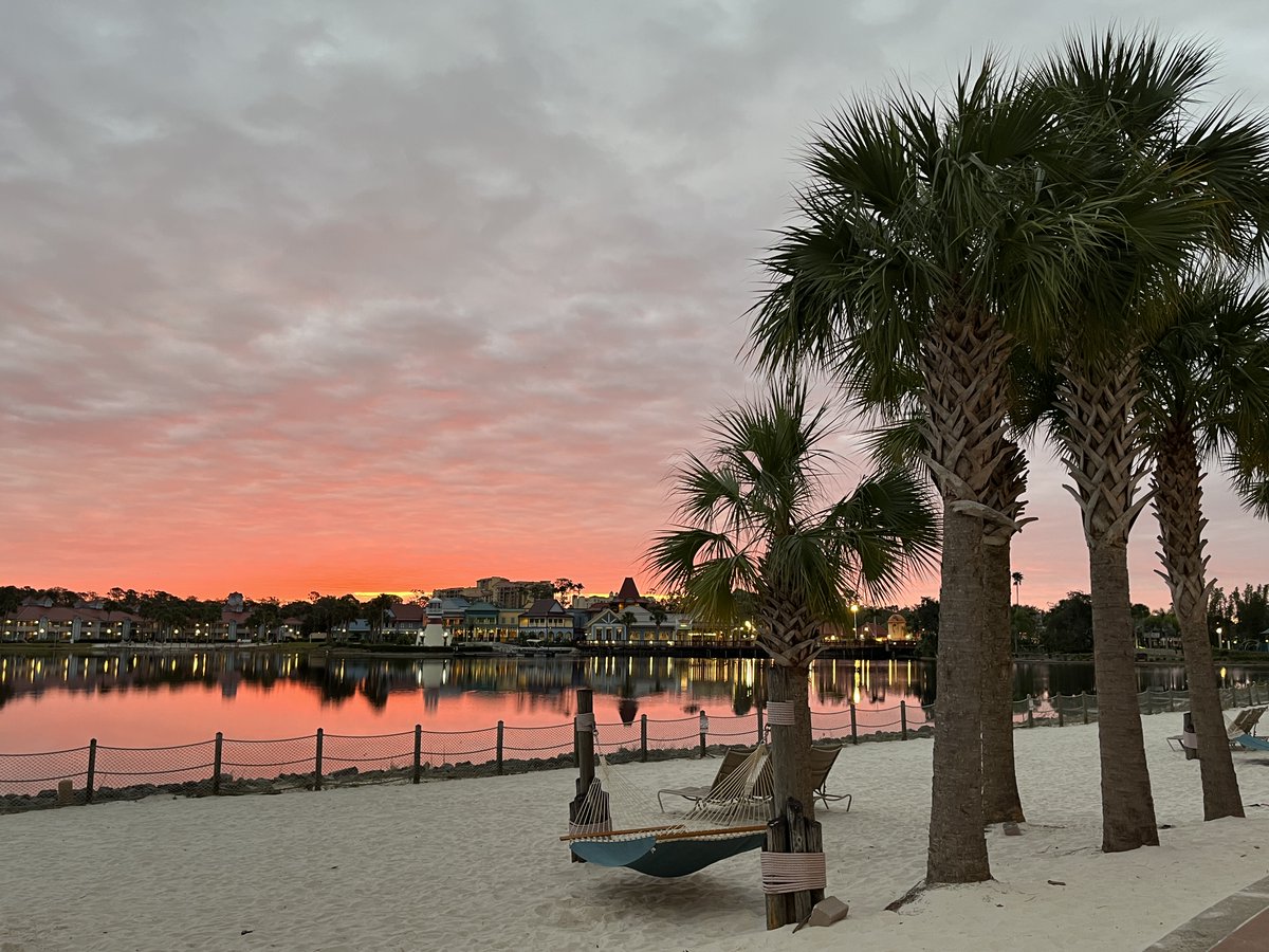 disneytipsguy's tweet photo. Good morning friends! 

Riverside mornings or Caribbean Beach mornings? Both beautiful in their own ways! 

Happy hump day folks! https://t.co/AT6T79fxYc