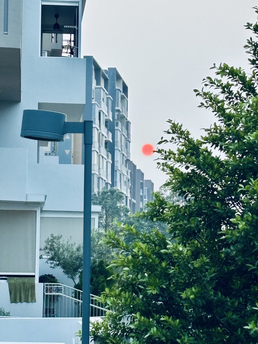 cuqowieusan's tweet photo. The haze has been quite bad recently. Even the sun looks unreal https://t.co/jLTSbLNUTT