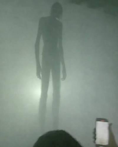nujagoatt's tweet photo. Throwback to when bleood transformed into an scp at an old show https://t.co/X3aH35Yf2F