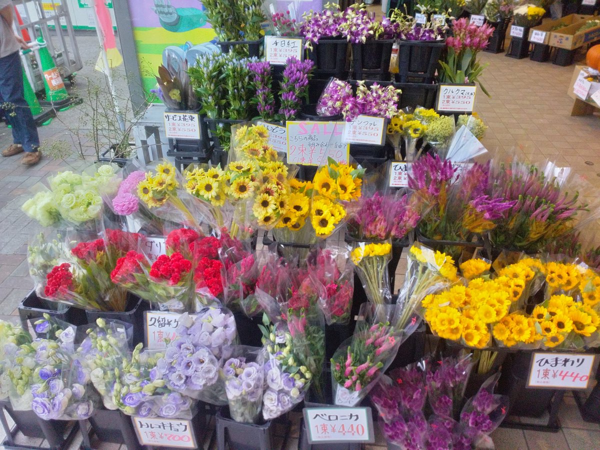 WF_bessho's tweet photo. おはようございます☁🌬️✨️
ワールドフラワー開店致しました

本日は午後から、切り花の入荷がございます
新鮮な切花・鉢花が大変お買い得となっております

お庭で毎年お仏花を収穫・タダで御供え
【ガーデンマム】

春まで半年間咲き続ける！
【ガーデンシクラメン】

是非ご来店下さい！

#上大岡 https://t.co/NXbZN4ZDeb
