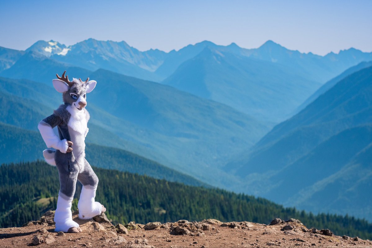 Wunderdeer's tweet photo. Look, a deer! 

📸: @ArcticArua https://t.co/yUxs3reMEH
