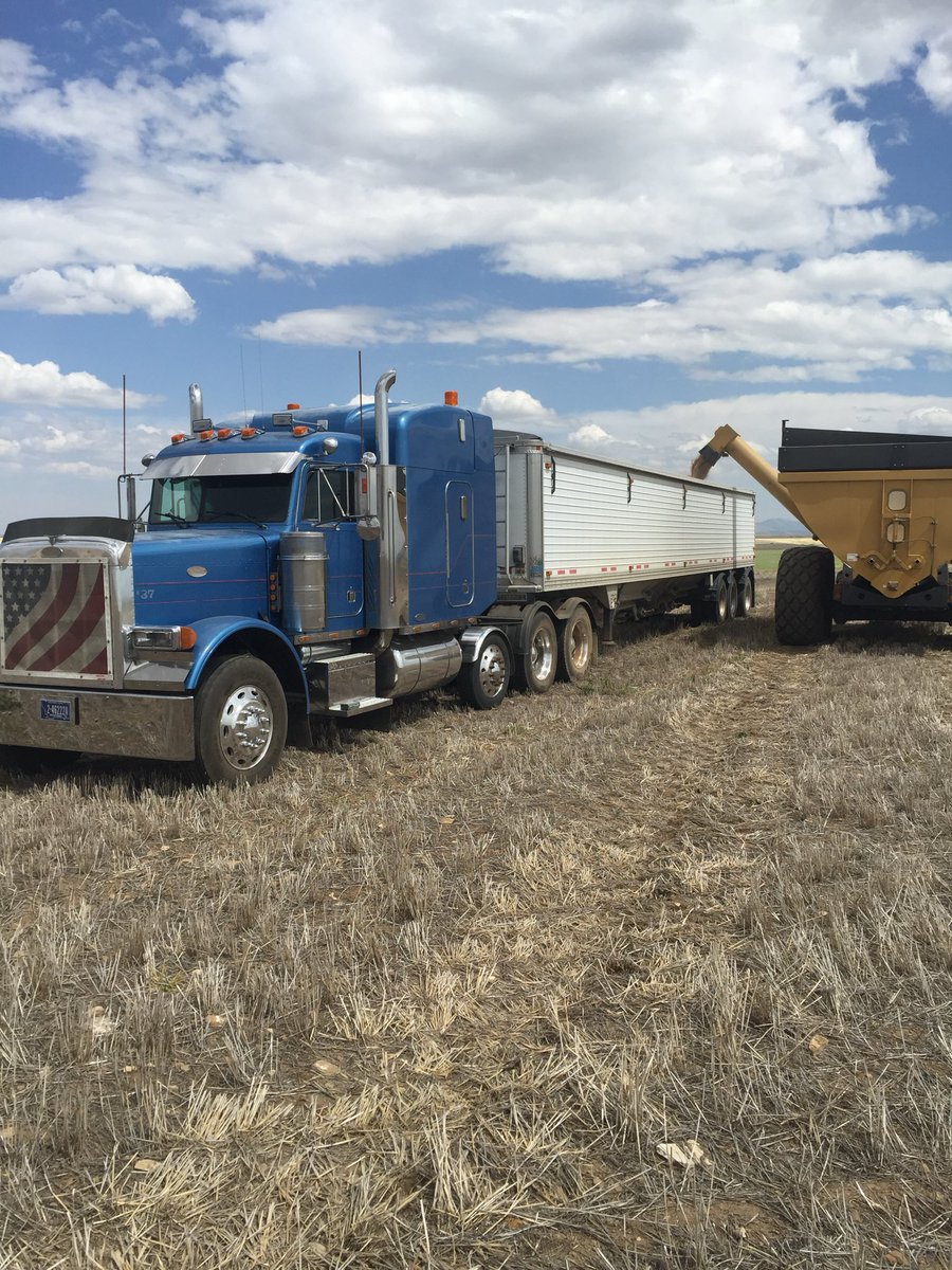 ElCrafty85's tweet photo. @5150Farms I would so like to be your guy if I didn’t have 4 vertebrae fused in June I loved driving truck https://t.co/h5LBOQBtUL