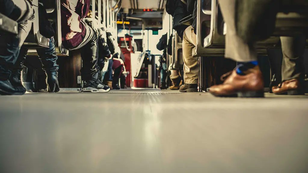 GoldenBayib8v's tweet photo. We always sot our traps upon one parf.🙂🤪🫨 https://t.co/11c8FS6zsu