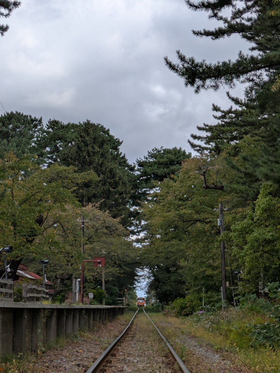 e3RtZdZZn2xH8dh's tweet photo. おはようございます😊
芦野公園、今は 曇り空⛅️
天気予報は、晴れ予報☀

イチョウは、まだ紅葉していませんが
沢山の実が落ちています🤗

秋食堂 営業中です🙂‍↕️

#秋食堂
＃みそおでん
#芦野公園
#津軽鉄道
#走れメロス https://t.co/vz4076RVPY