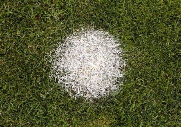 khalilogyigo's tweet photo. Résumé de la carrière de Messi avec l’Argentine: https://t.co/eKYege2DMt