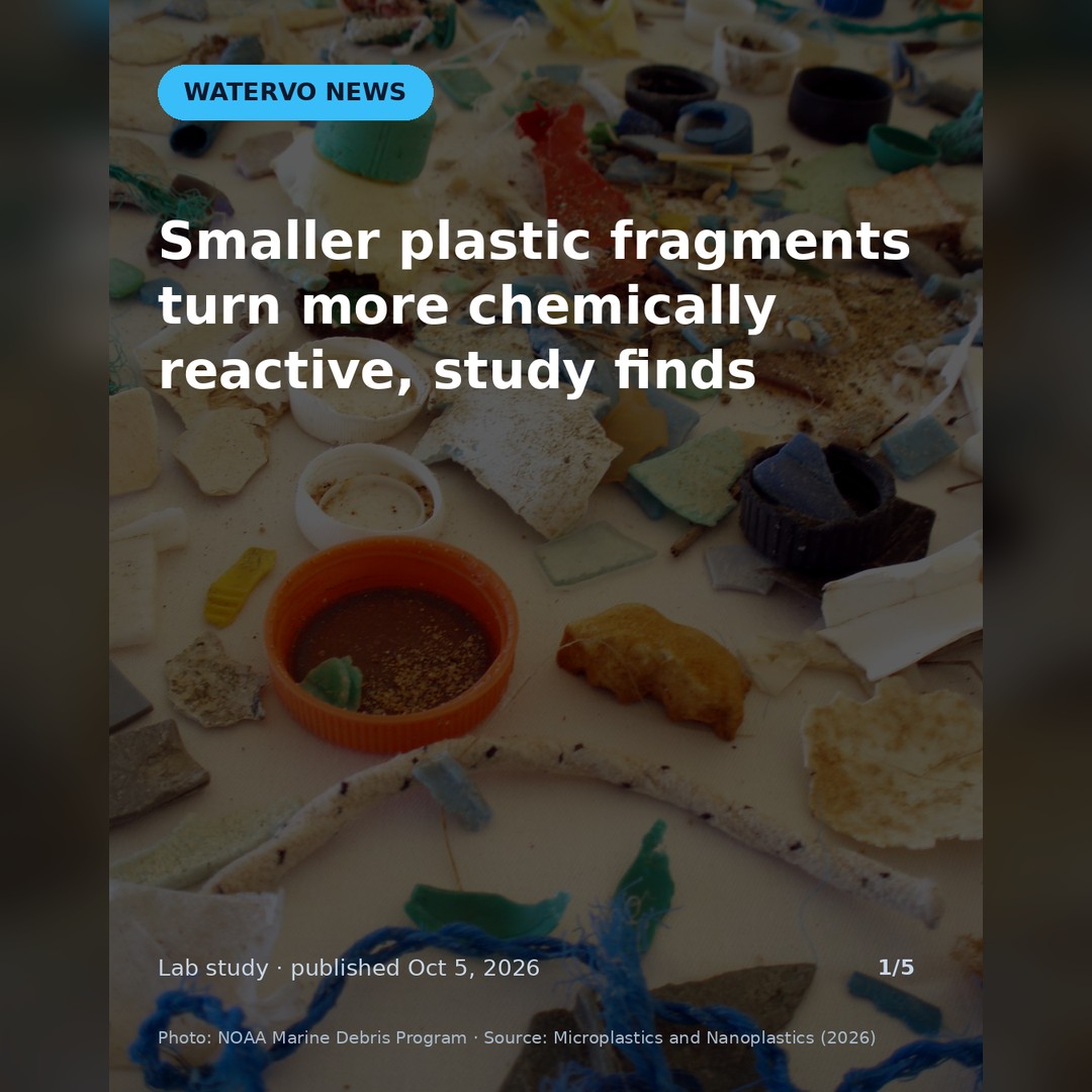 watervoGLOBAL's tweet photo. Most lab studies use smooth plastic beads. A McGill-led team broke real plastics apart, and the tiniest fragments were rougher, more oxidised and more reactive. Lab study, not a tap-water test. With WaterVO founder Don DiCostanzo.
Read the full story: https://t.co/mXhGmMg5Sw https://t.co/G1UW9X1ZQ8