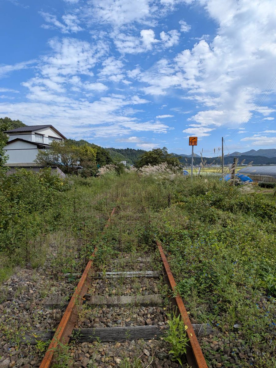 bee_mayatohoku's tweet photo. おはようございます！
今日の仙台は晴れ☀

今日は ＃ミステリー記念日 🕵
久しぶりにミステリー小説を読みたくなりました📖
近々本屋さんに立ち寄ろうと思います😊

今日もよろしくお願いします🍁
＃企業公式秋のフォロー祭り
＃企業公式が朝の挨拶を言い合う
＃企業公式相互フォロー https://t.co/yJ6KWE6XhA