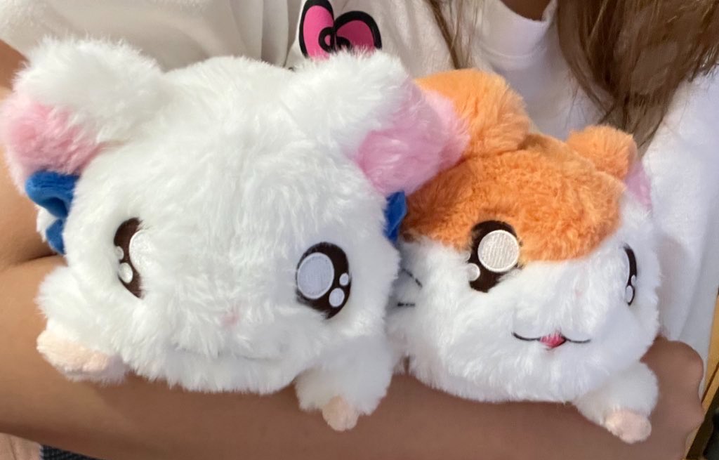 ikkmungi's tweet photo. 나 이거 햄토리 버전 있는데 진짜 개커여움 ♡ https://t.co/JBd9KSynrg