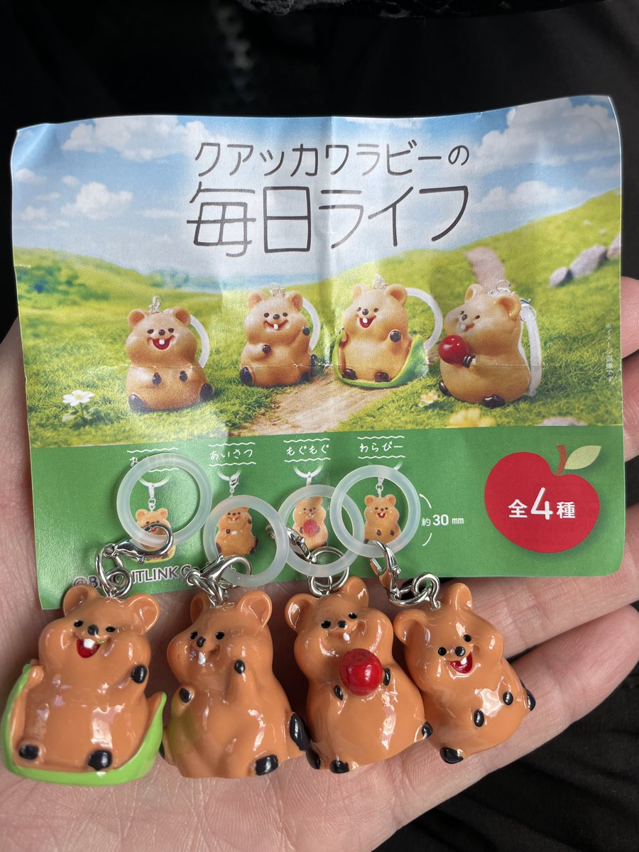 32_6sk's tweet photo. 久々に昼に来たけど
クレゲ触らず🤣笑

可愛いガチャあったので
回しておきました☺️✨

ストレートでコンプ！！

@mhr_capsule https://t.co/IF67worEVE
