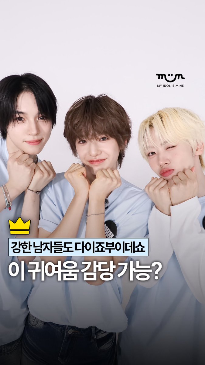 myidolmiim's tweet photo. [EXCLUSIVE] 귀여움에 강한 남자들도 다이죠부이데쇼 ✌️

🔗 https://t.co/nouTDK5qNr

‼️밈 구독 전용 콘텐츠를 무단으로 사용할 경우 법적 제재를 받을 수 있습니다.

✔️ 밈 구독하고 독점 콘텐츠 미리 보기 😁

#AHOF #차웅기
#KEYVITUP #세나
#YUHZ #세찬
#강한남자를찾아서
#MIIM https://t.co/K8i1qjiWeO