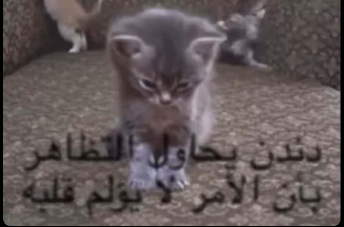Vanilla0dream's tweet photo. توني متحممه لكن خبر سيء ماصرت احس بنشوه النظافه شكلي استهلكتها او اكتئبت https://t.co/YOg666S1N5