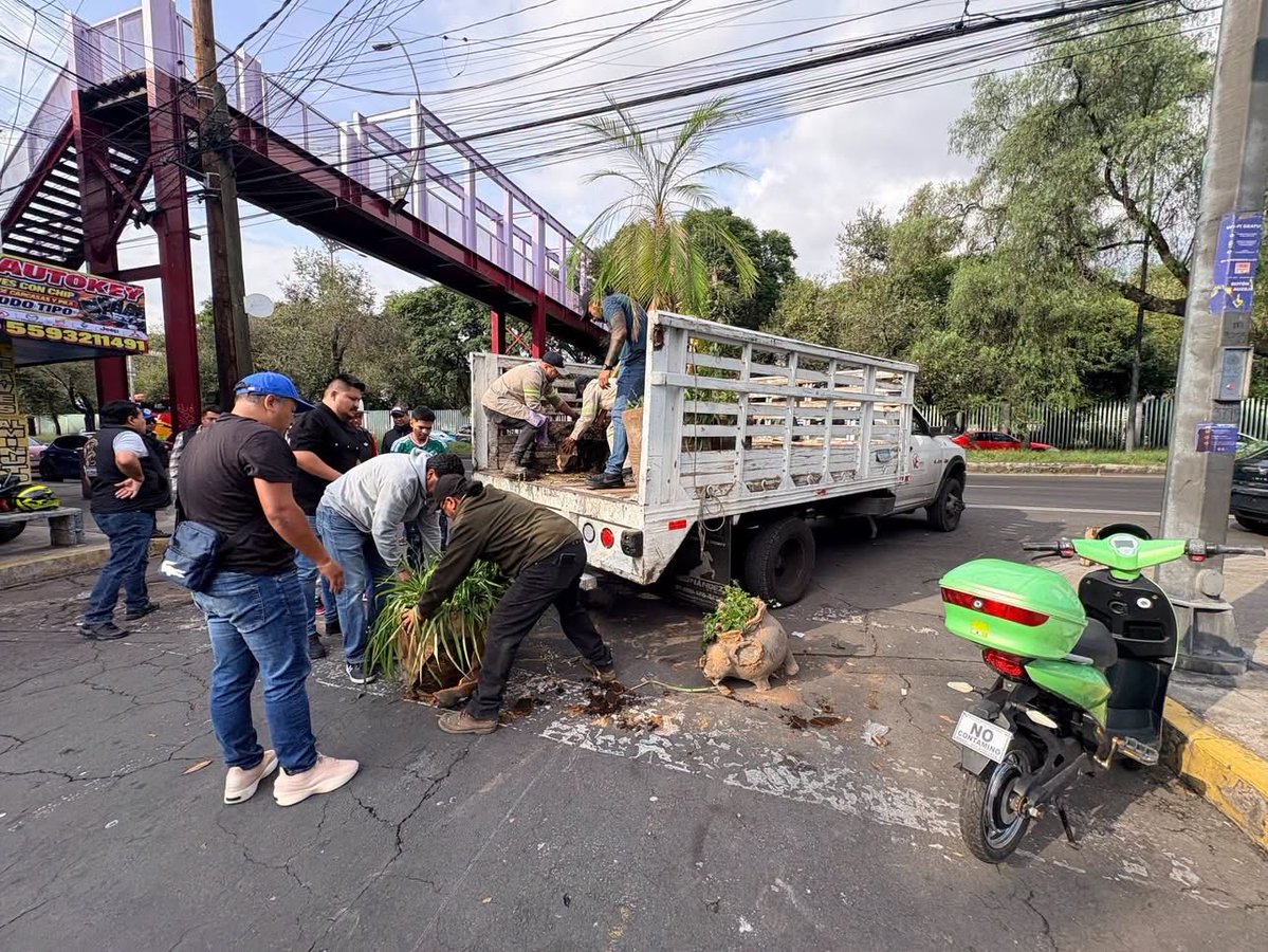 evelyn_parraA's tweet photo. 🚨 ¿Macetas para bloquear una calle? ¡Aquí no! 👀

Vecinas y vecinos reportaron la obstrucción en calle 41, en Ignacio Zaragoza, y fuimos a atenderla. 💪🏽 Retiramos las macetas y liberamos la vialidad.

Porque cuando la gente reporta, ¡nosotros respondemos! 🚧➡️🛣️

#VCEnAcción https://t.co/qKw5AUPlHd
